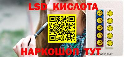прущие грибы Усть-Илимск