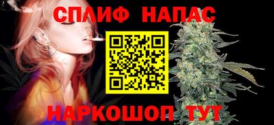 spice Гусев