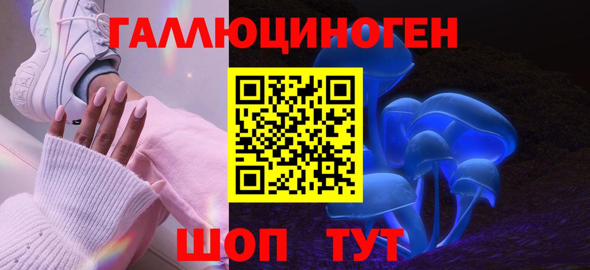 Лыткарино  Псилоцибиновые грибы Cubensis  Псилоцибиновые грибы GOLDEN TEACHER  Вход с VPN 