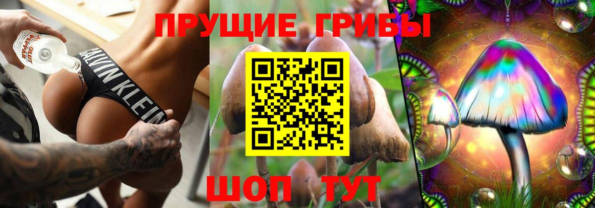 Галлюциногенные грибы прущие грибы Лыткарино